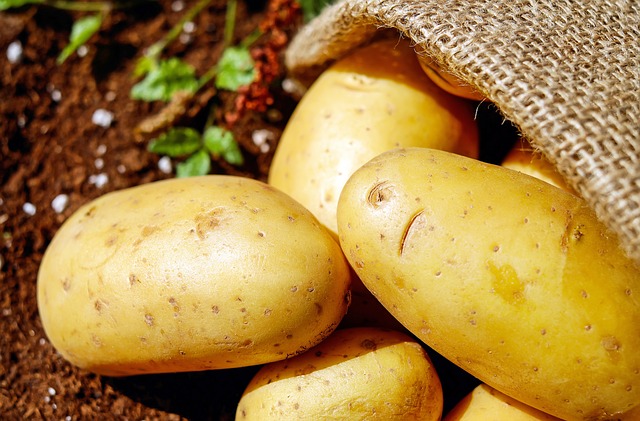 image of a wild potatoe